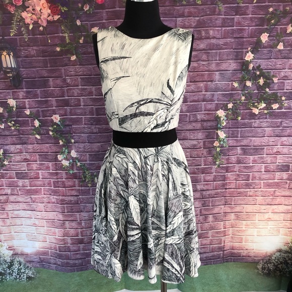Eva Franco Dresses & Skirts - Eva Franco Crop Top Black White Palm Leaf Dress 4